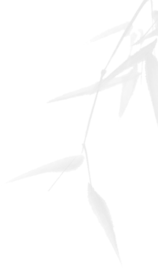 今年会 | 官方网站